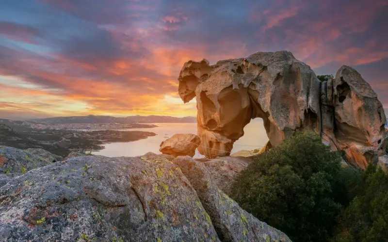 Bear-Rock-Palau-800x500.jpg