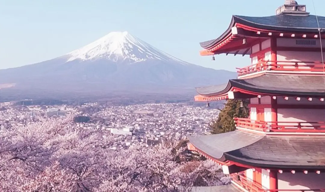sljpn_header_cherryblossom_1920x500.jpg